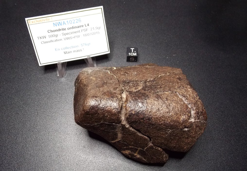 NWA10226 - Meteorite condrite L4 - Massa principale! - Altezza: 100 mm - Larghezza: 85 mm - 576 g - (1) #2.1