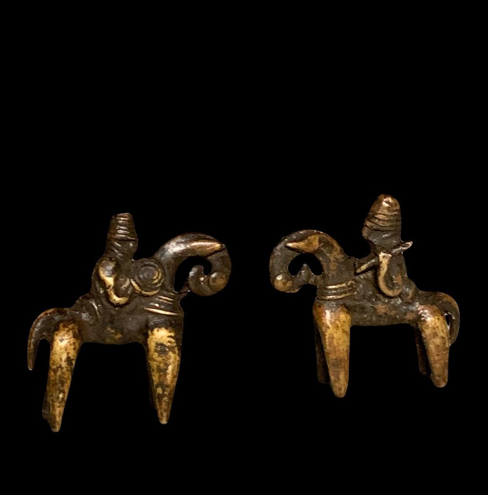 Exceptionnelle cavalier - Veistetty pää - Tšad (Ei pohjahintaa) #2.1