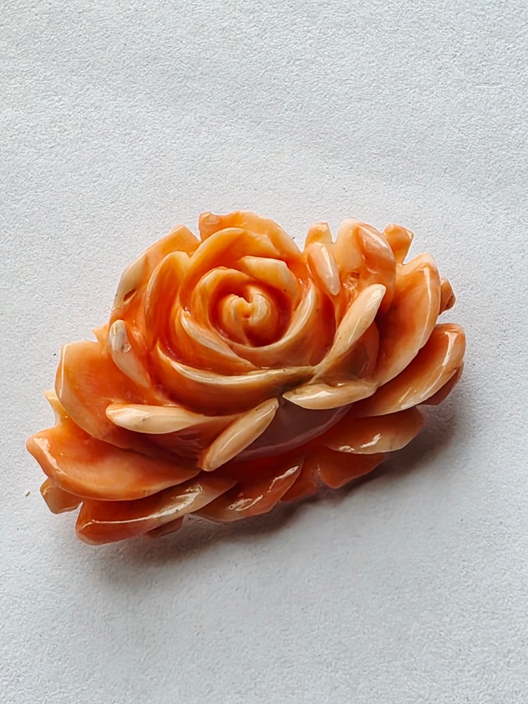 Broche - 15 carats Or jaune Corail #1.0