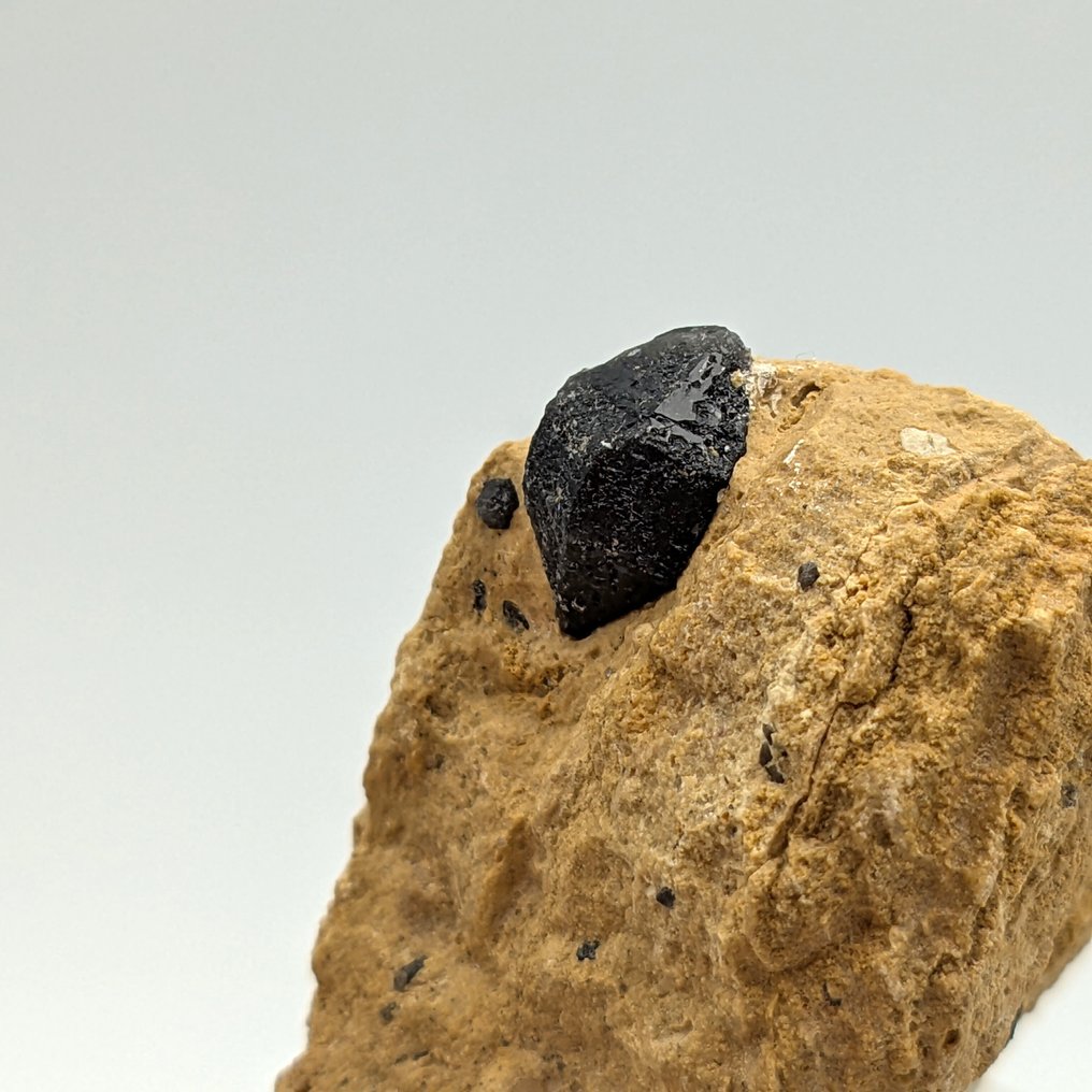 QUARZO MORIONE BETA, διπλό μαύρο κρύσταλλο, Ιταλία Κρύσταλλοι στη μήτρα - Ύψος: 50 mm - Πλάτος: 36 mm- 47 g #2.1