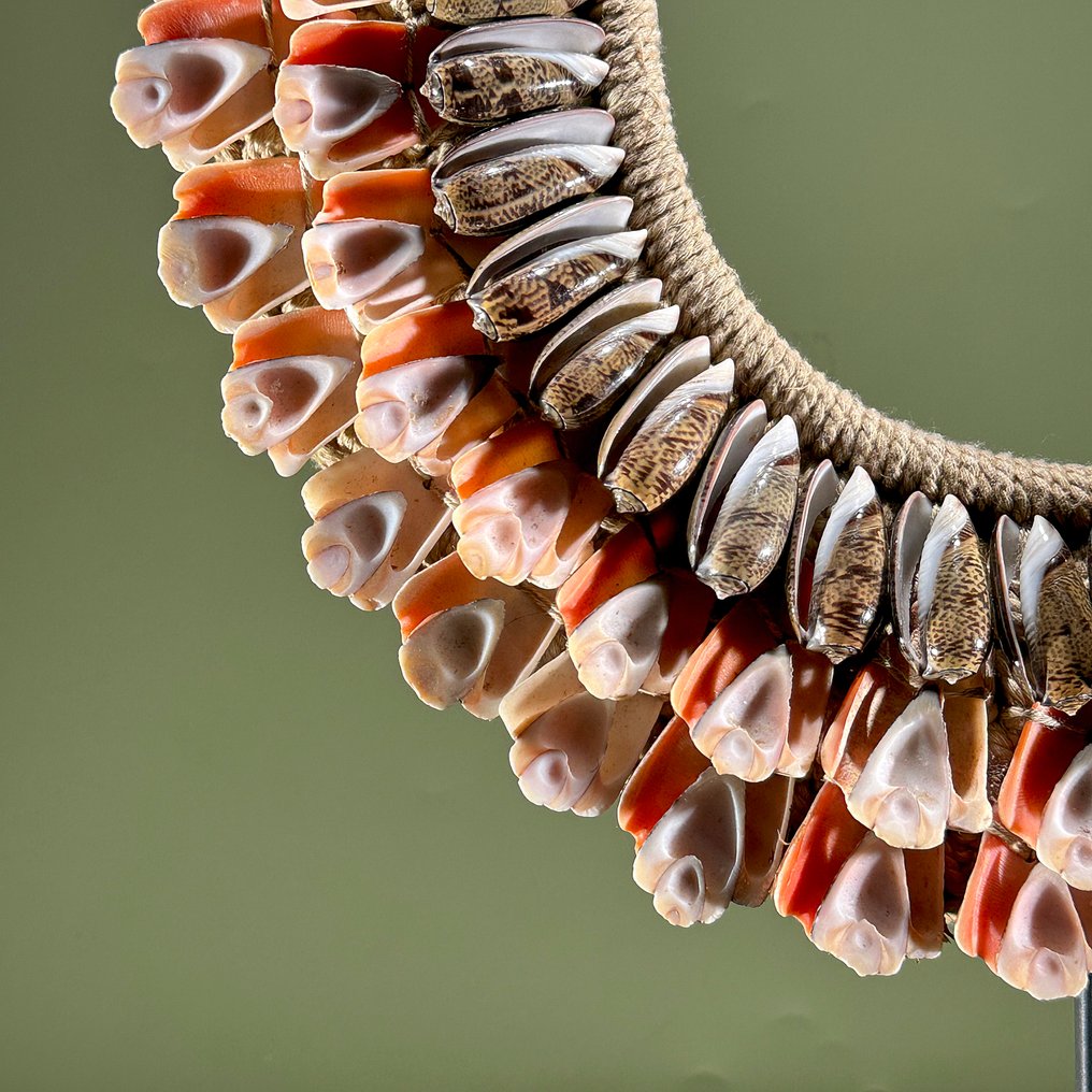 Zierornament - NO RESERVE PRICE - SN14 - Decorative Shell Necklace on a custom stand - Papua Neuguinea #4.3