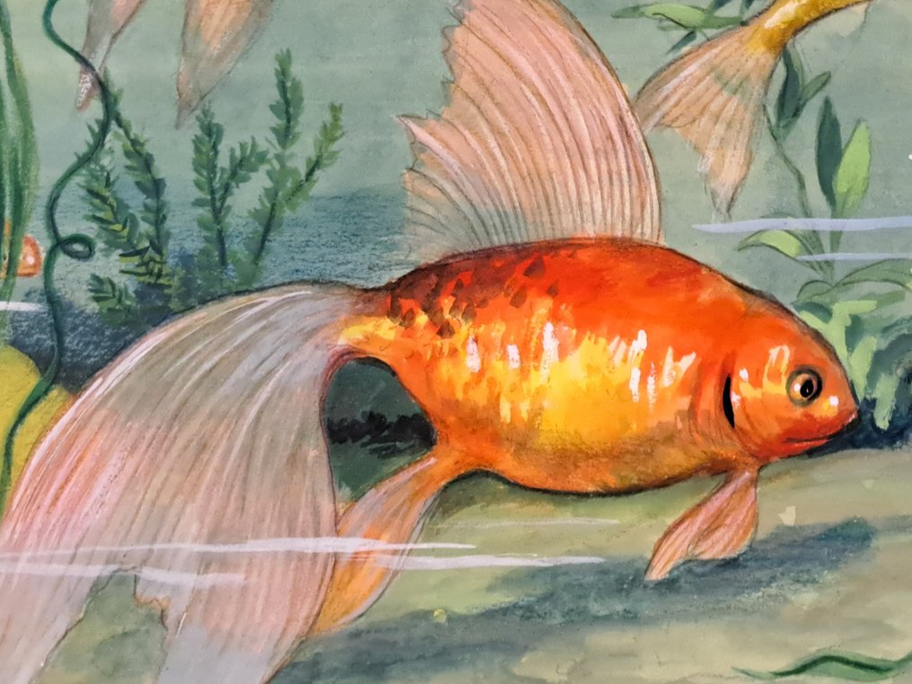 Saviozzi, Adriana - 8 Original colour drawing - I Pesciolini dell'Acquario #4.3