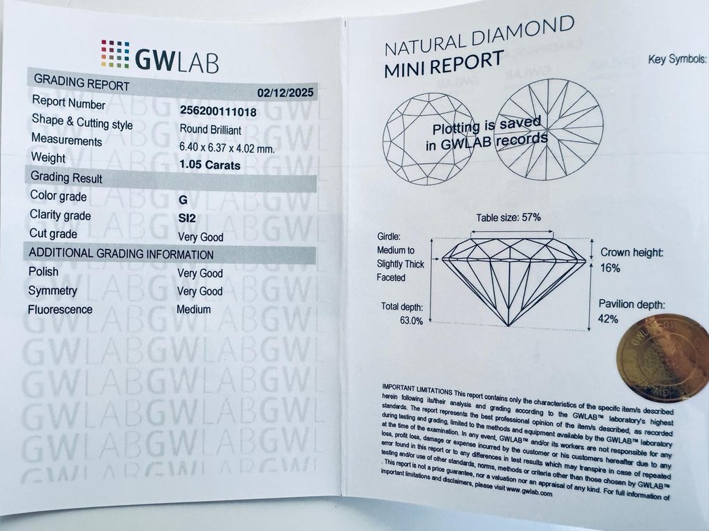 没有保留价 - 1 pcs 钻石 (天然) - 1.05 ct - 圆形 - G - SI2 微内含二级 - Gemewizard宝石实验室(GWLab) #3.2
