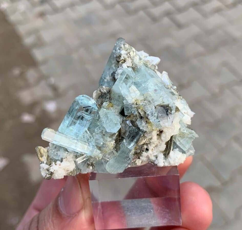 NO~ Riserva acquamarina blu con apatite e granato, campione combinato. Esemplare - Altezza: 4.2 cm - Larghezza: 5.5 cm- 50 g - (1) #1.0