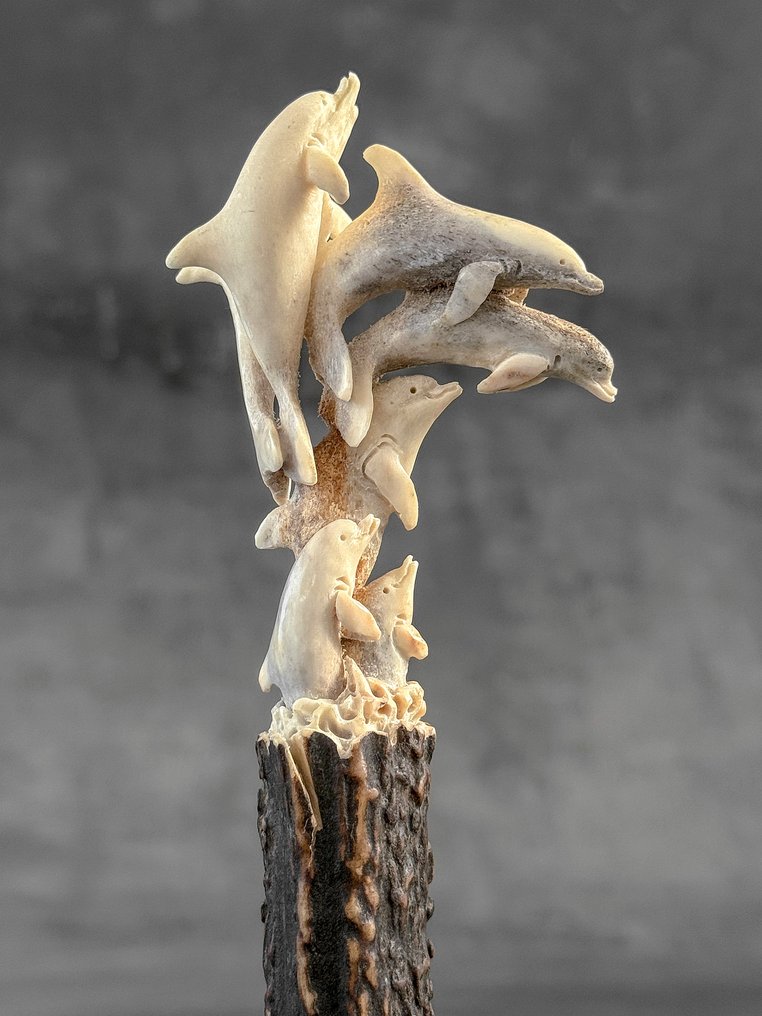 Udskæring, NO RESERVE PRICE - A pod of Dolphins carving from deer antler on a custom stand - 19 cm - Deer Antler - 2025 #1.0