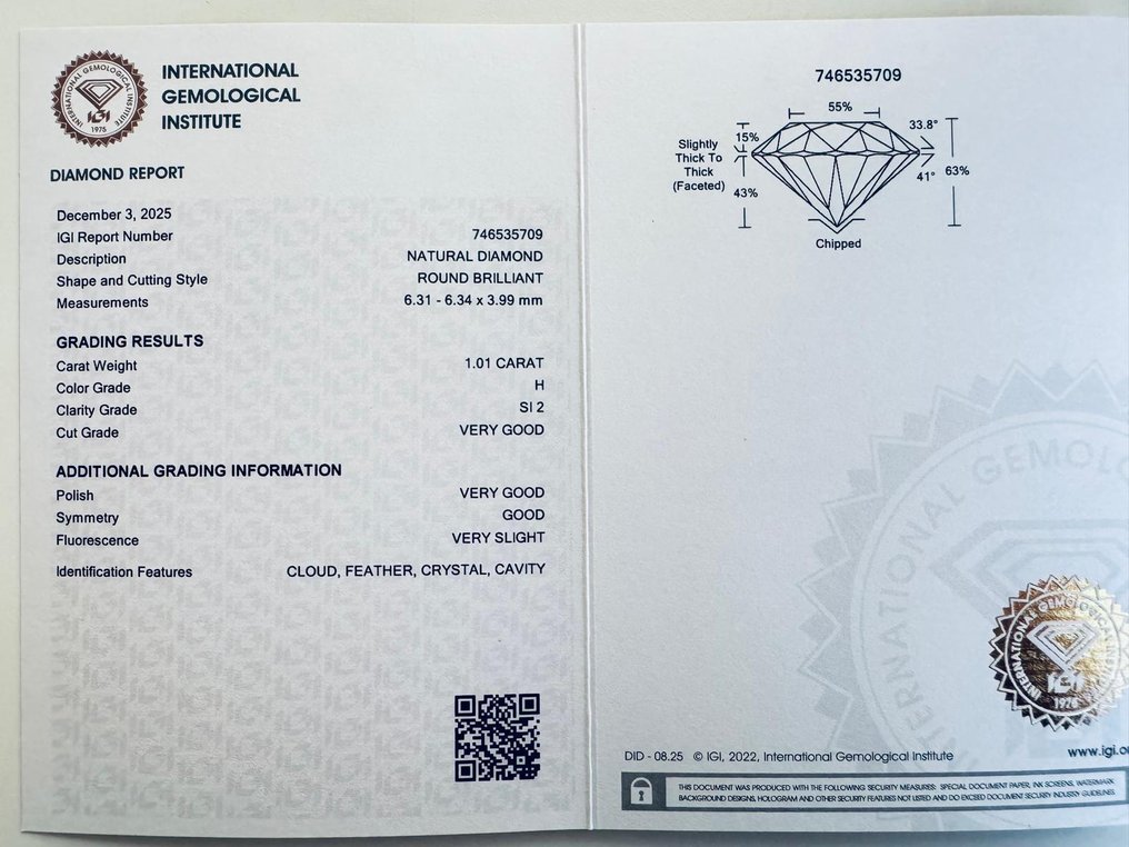 没有保留价 - 1 pcs 钻石 (天然) - 1.01 ct - 圆形 - H - SI2 微内含二级 - 国际宝石研究院(IGI) #3.2