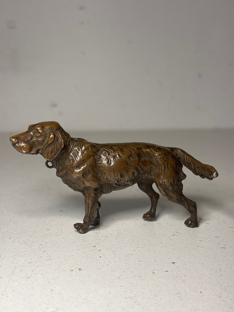 Statue, Hond - Weens - 43 mm - Bronze #1.0