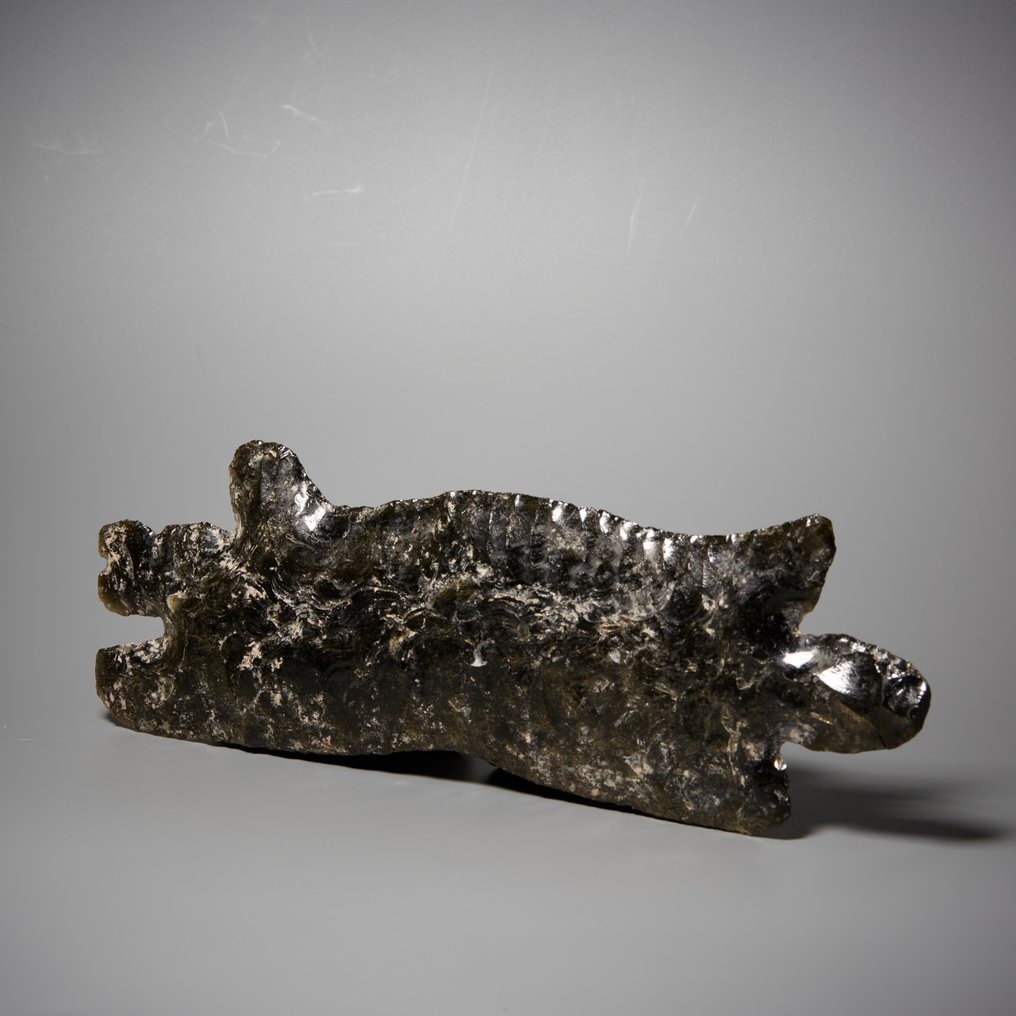 Colima, Westmexiko Obsidian Figuratives steinernes Werkzeug. 200 v. Chr. – 200 n. Chr. 20,5 cm Länge. Spanische Exportlizenz. #2.1