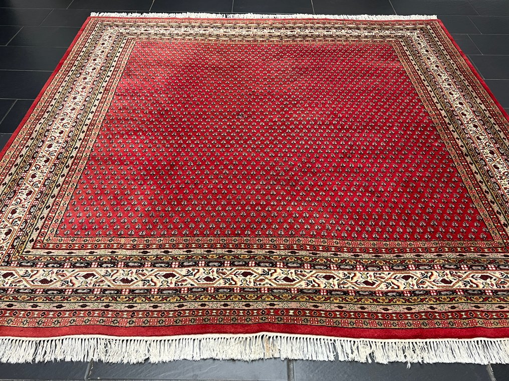 Sarough Mir - Teppich - 255 cm - 255 cm #1.0