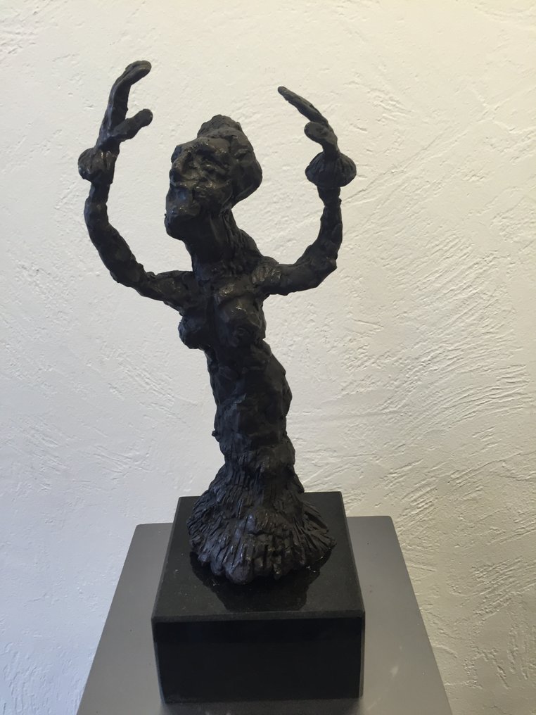 Jan Sierhuis - Flamengo Spaanse dans #1.0