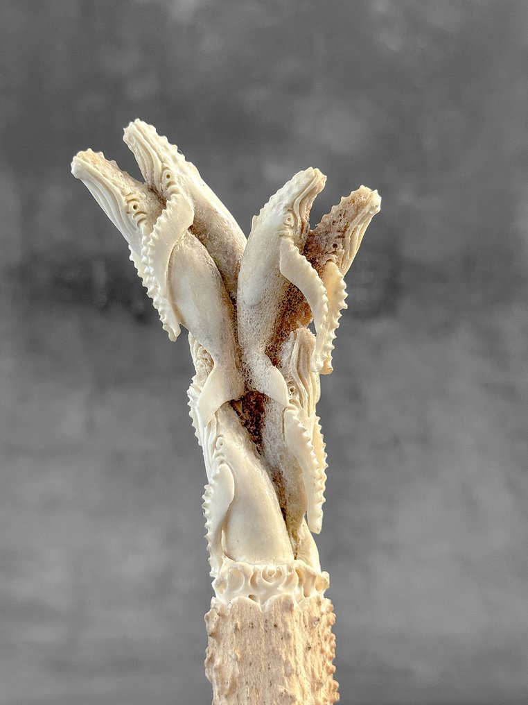 Udskæring, NO RESERVE PRICE - Stunning Pods of Blue Whales Carving from a Deer Antler on a custom stand - 20 cm - Deer Antler - 2025 #1.0