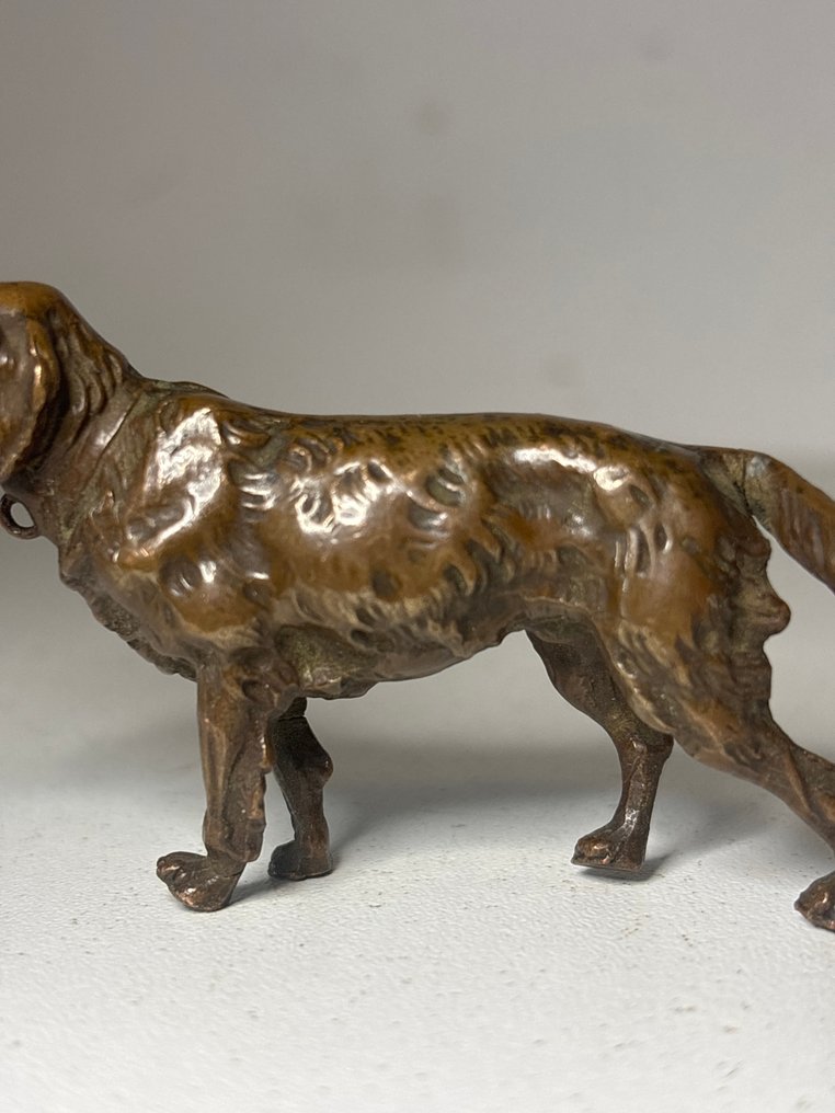 Statue, Hond - Weens - 43 mm - Bronze #3.2