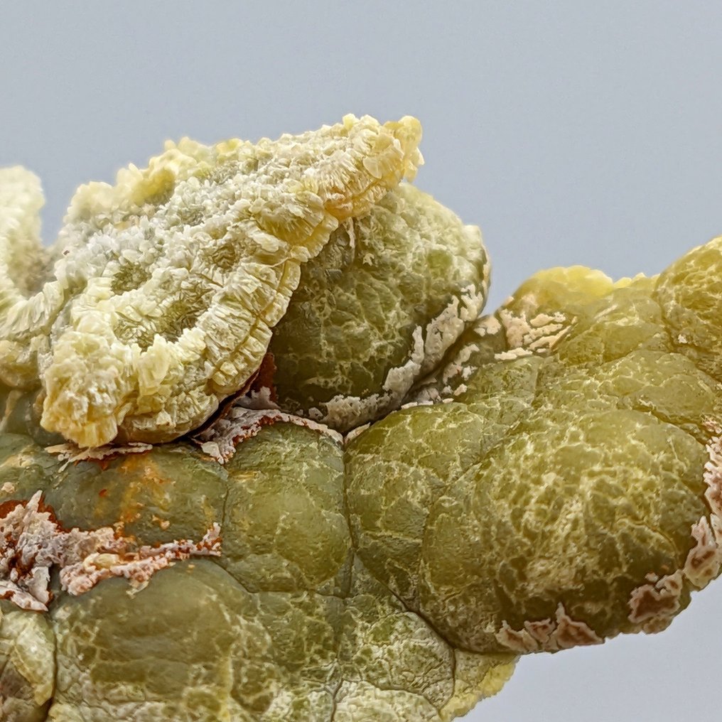 Smithsonite Verde Mammellonare, Sardinia! Crystals on matrix - Height: 47 mm - Width: 40 mm- 52 g #3.2