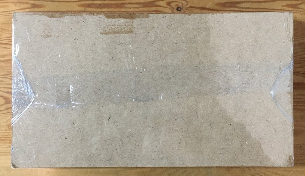 millepiedi, scorpioni, ragni, cicale, scarafaggi, cervi volanti (ecc) Allestimento tassidermico a corpo intero - Scolopendra cataractea (etc) - 19 cm - 35 cm - 4 cm - Specie non CITES - 1 #1.0