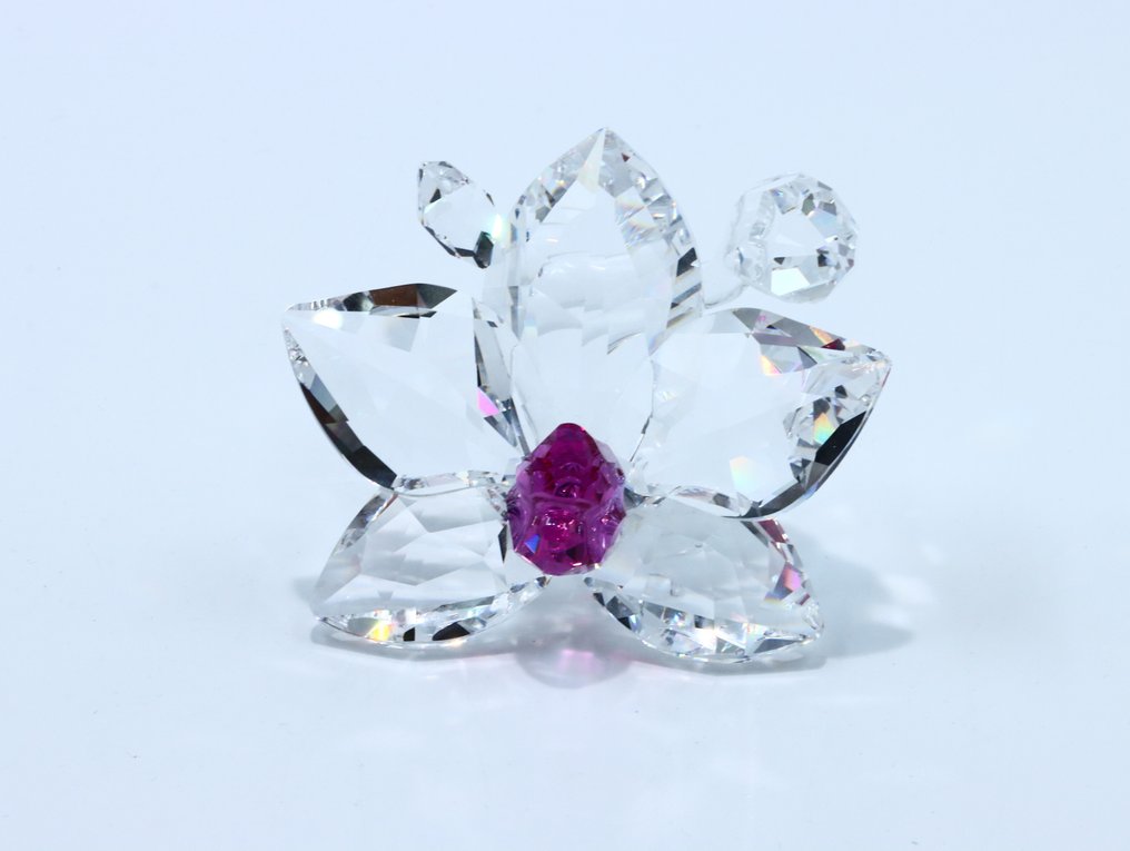 Figura - Swarovski Crystal - Orchideebloesem (Unboxed) - Cristal #1.0