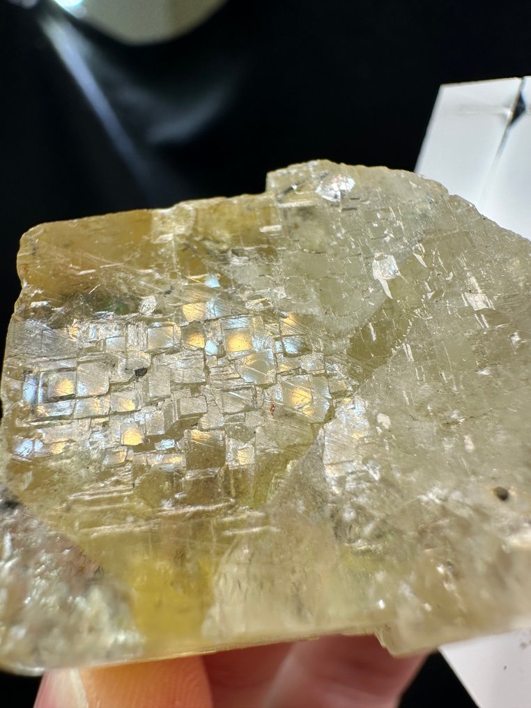 The Rainbow in the Cube - FLUORITE LEMON with Ghosts and Iridescence Crystal - Height: 35 mm - Width: 29 mm- 48 g - (1) #3.2