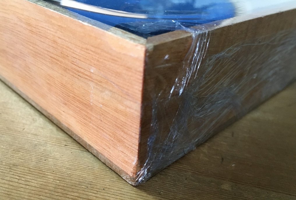 millepiedi, scorpioni, ragni, cicale, scarafaggi, cervi volanti (ecc) Allestimento tassidermico a corpo intero - Scolopendra cataractea (etc) - 19 cm - 35 cm - 4 cm - Specie non CITES - 1 #3.2