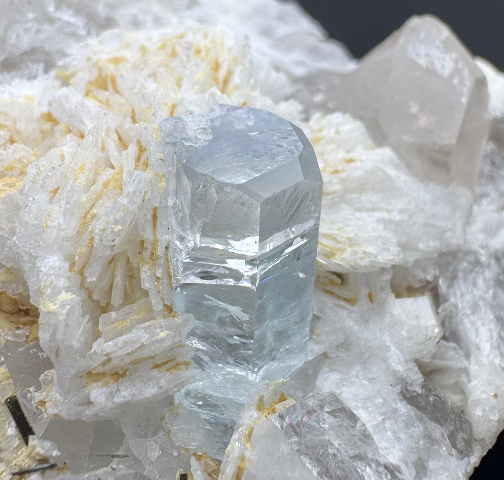 Full Terminated Aquamarine, Schorl, Albite Crystals on matrix - Height: 31 mm - Width: 64 mm- 115 g - (1) #1.0