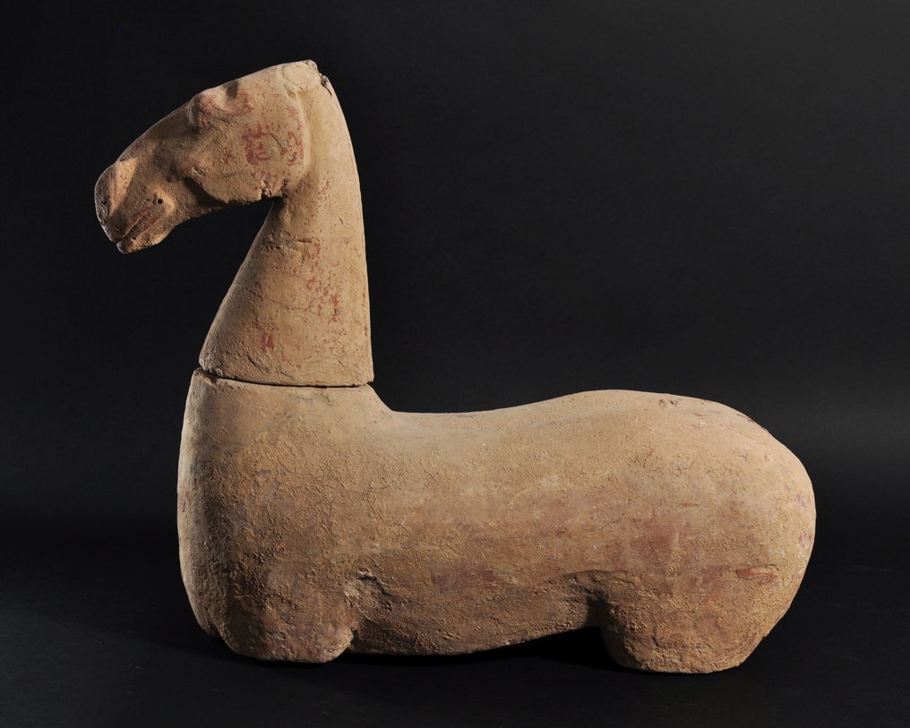 Chinois ancien, empire Han Terre cuite Corps de cheval avec tête détachable avec test TL. - 43 cm #4.3