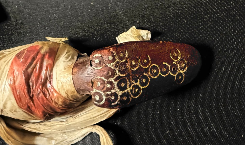 No brand - Sarinda -  - 乐器 - 阿富汗  (没有保留价) #4.3