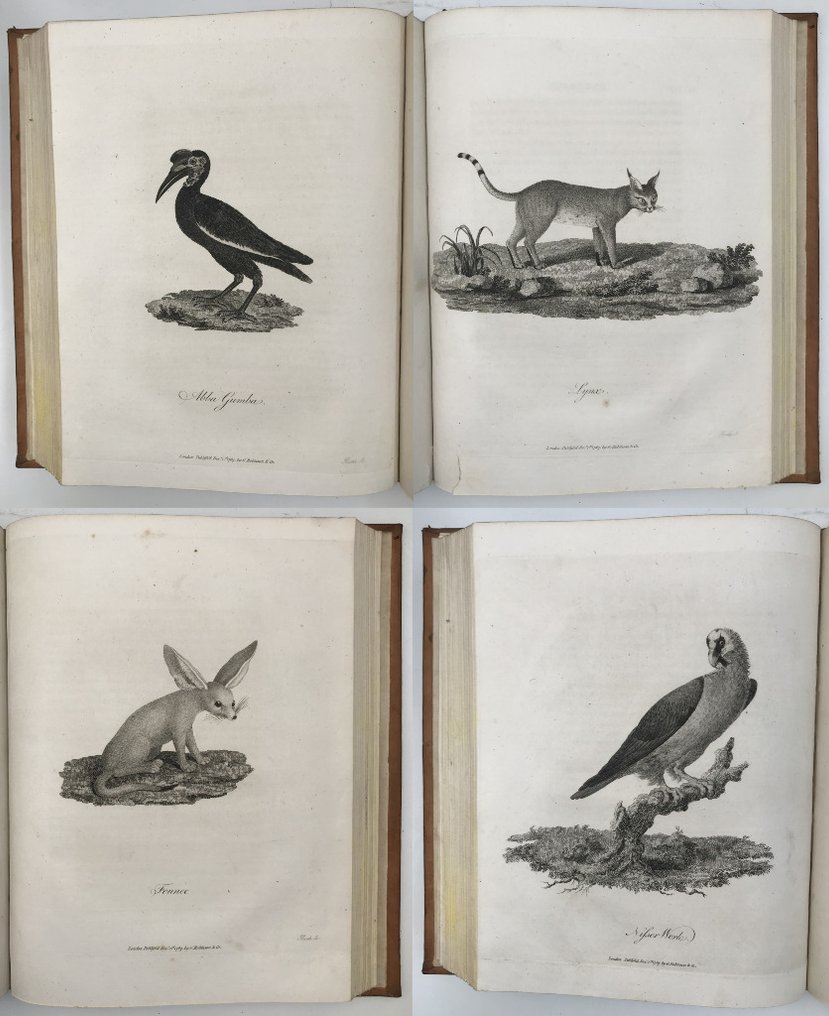 James Bruce of Kinnaird, Esq. - Travels to Discover the Source of the Nile, In the Years 1768, 1769, 1770, 1771, 1772, and 1773. In - 1790 #1.0