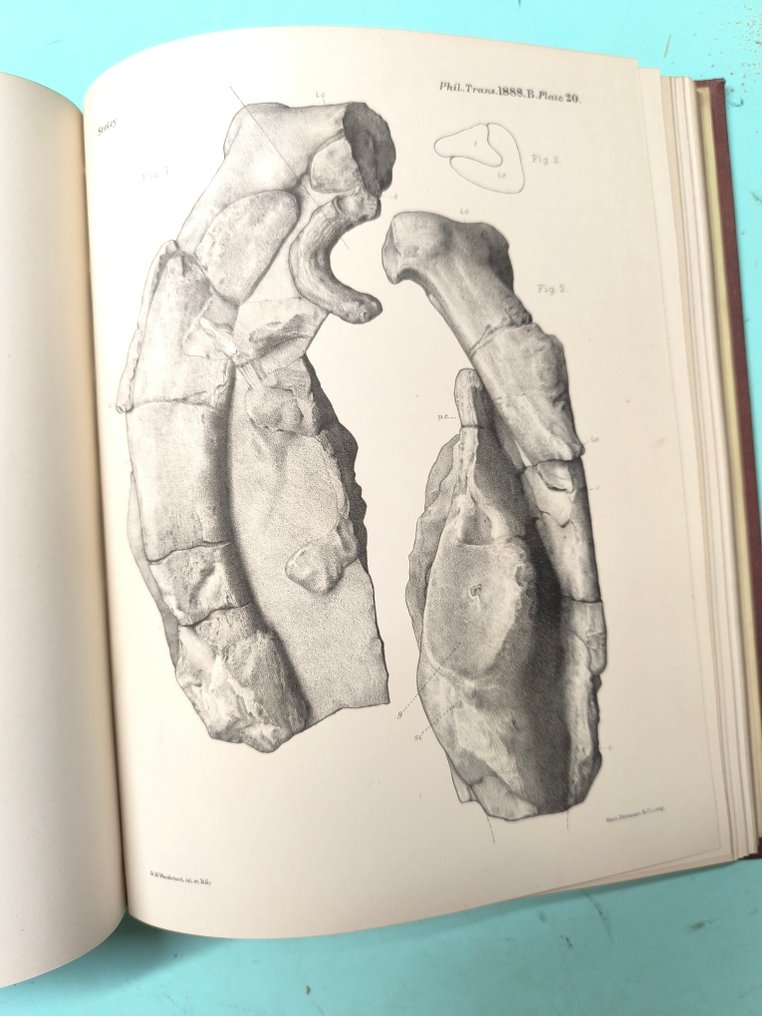 Sir Richard Owen - Philosophical Transactions of the Royal Society of London - 1887-1888 #3.2