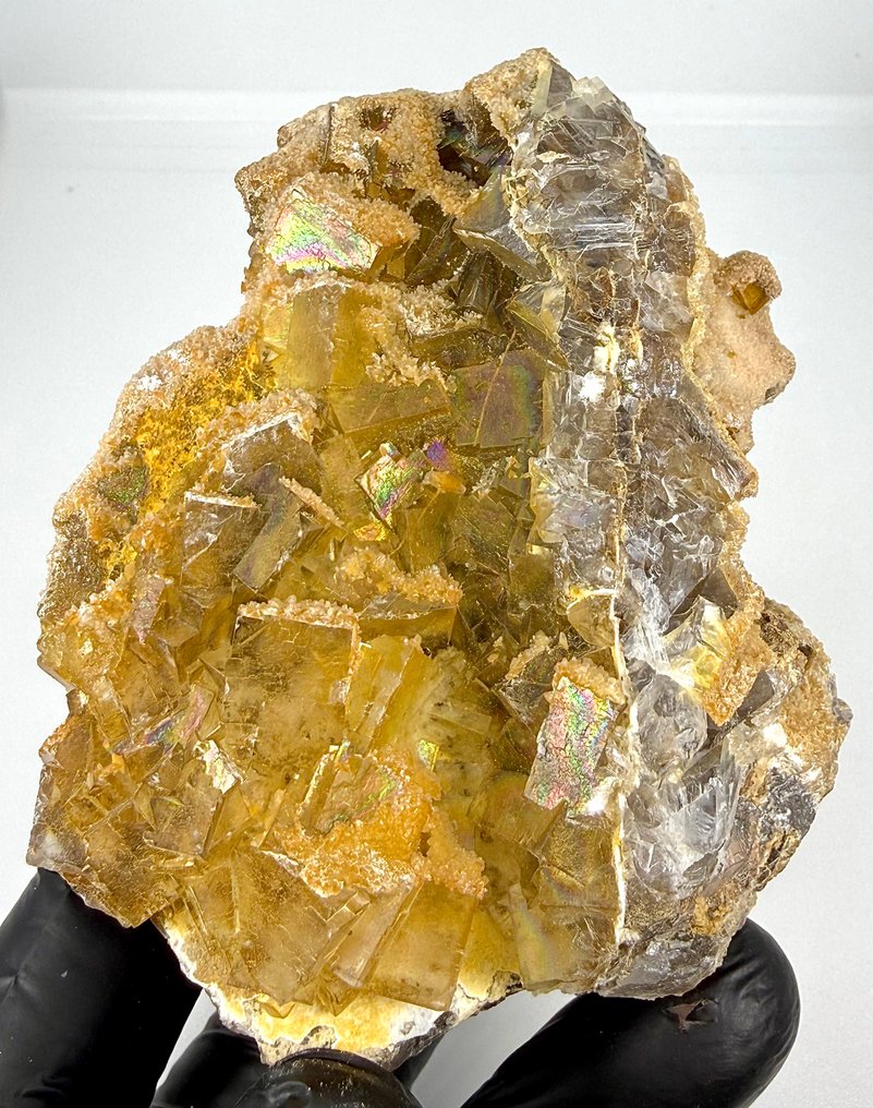 Rainbow Golden Fluorite Prøve - Højde: 86 mm - Bredde: 57 mm- 353 g #1.0