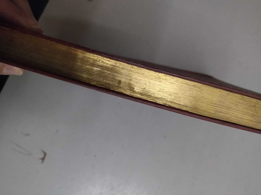 Dean Swift - Gulliver's travels - 1878-1879 #2.1