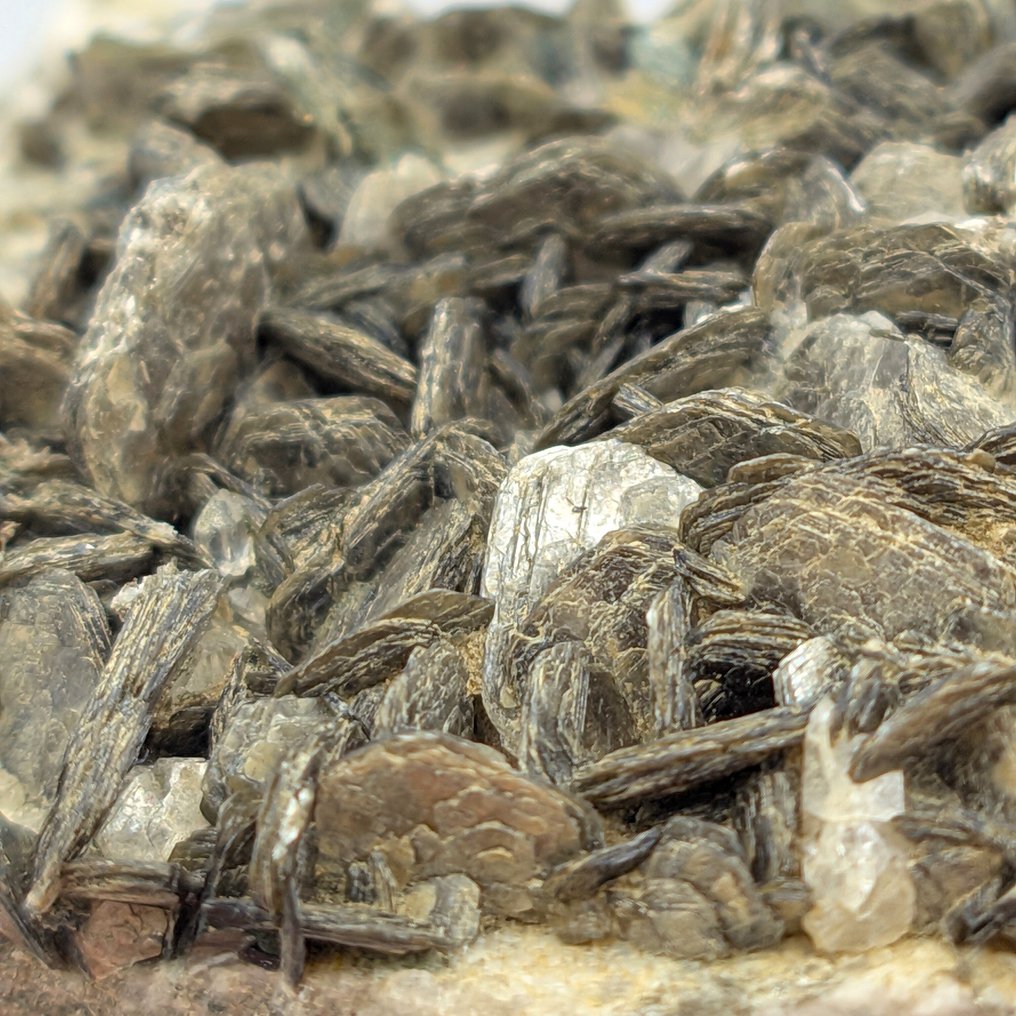 阿尔卑斯银色白云母矿石盘，意大利 水晶矩晶体 - 高度: 106 mm - 宽度: 67 mm- 393 g #1.0