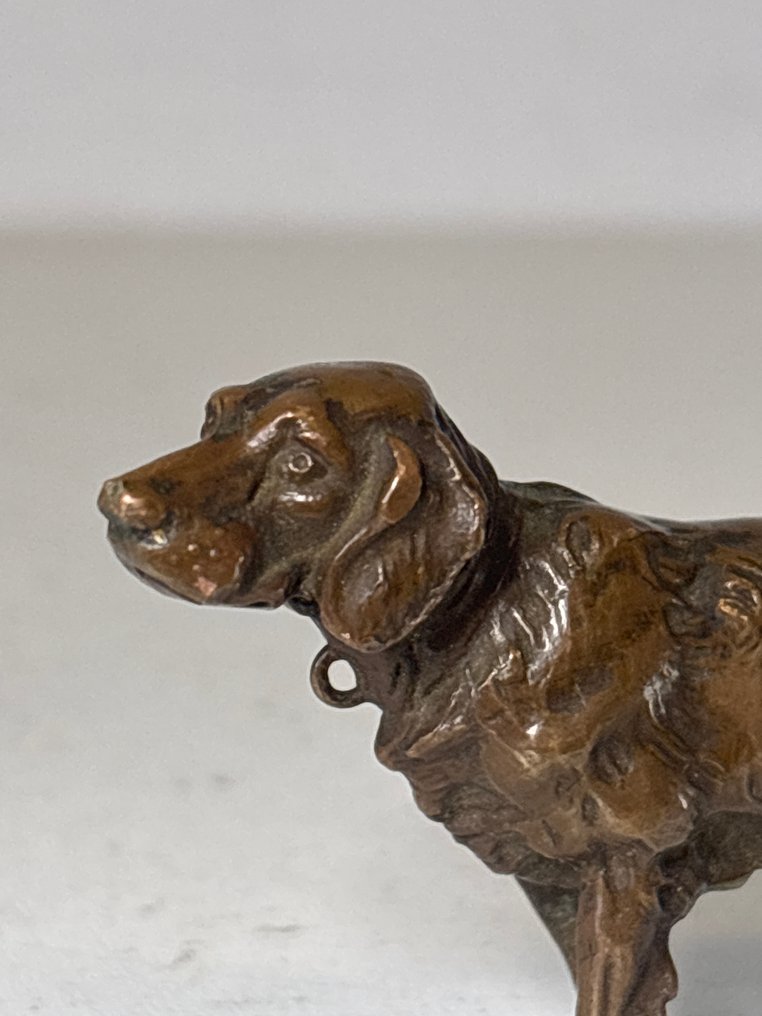 Statue, Hond - Weens - 43 mm - Bronze #1.0