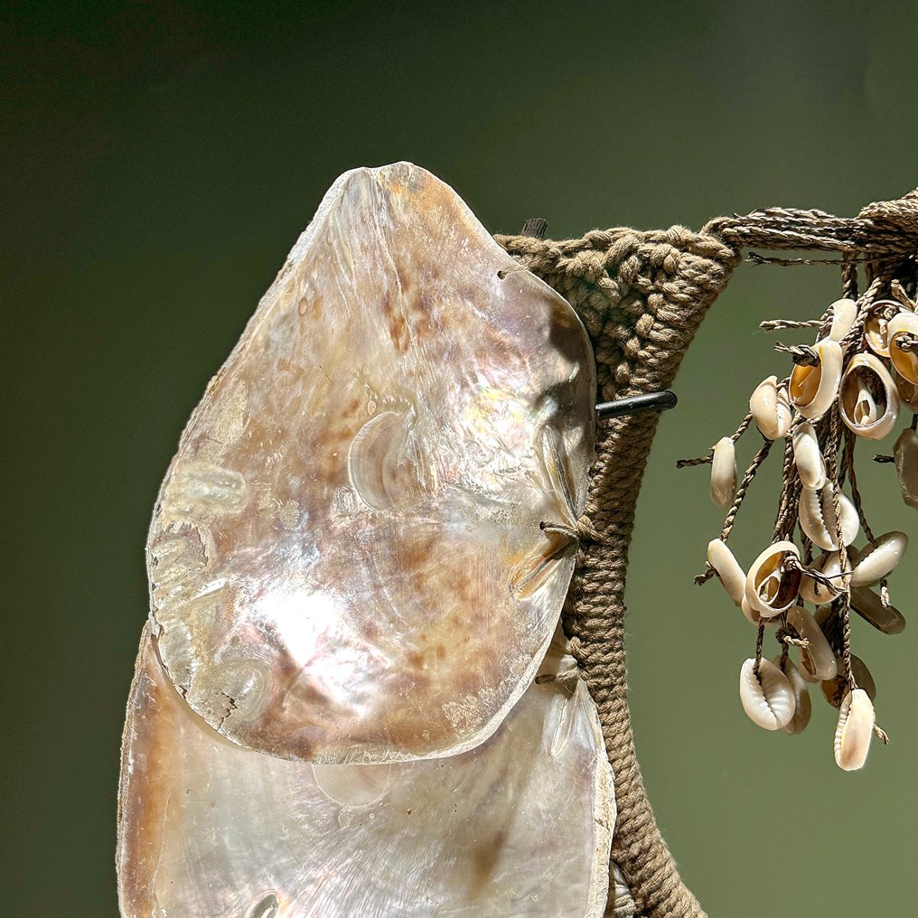 Ornament decorativ - NO RESERVE PRICE - SN10 - Decorative Shell Necklace on a custom stand - Indonezia #4.3