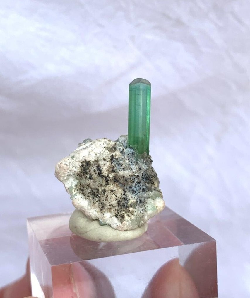 No~Reserve Green Tourmaline Terminated Crystal Specimen - Height: 2.7 cm - Width: 2 cm- 5.2 g - (1) #1.0