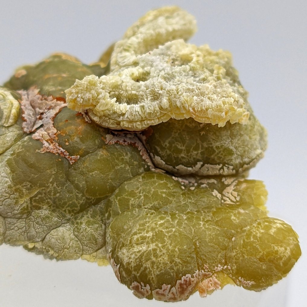 Smithsonite Verde Mammellonare, Sardinia! Crystals on matrix - Height: 47 mm - Width: 40 mm- 52 g #2.1