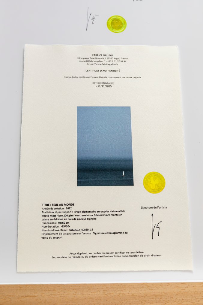 Fabrice Gallou - SEUL AU MONDE #3.2