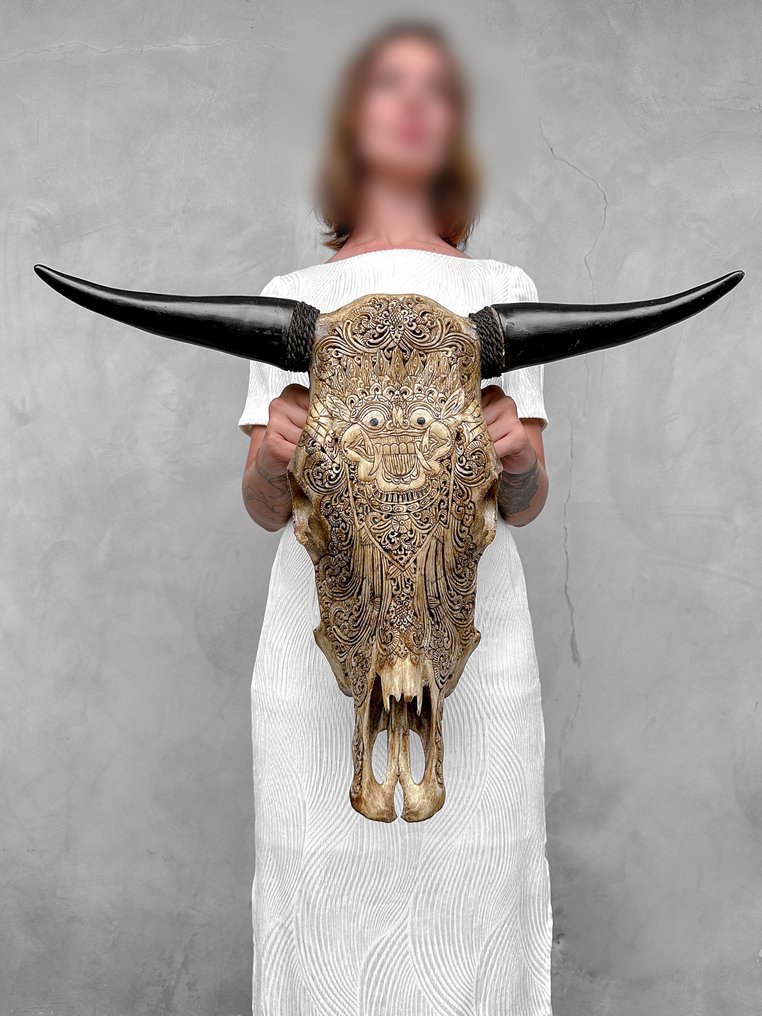 NO RESERVE PRICE - Large Brown Carved Bull Skull - Barong motif - Carved skull - Bos Taurus - 51 cm - 66 cm - 20 cm- Non-CITES species #2.1