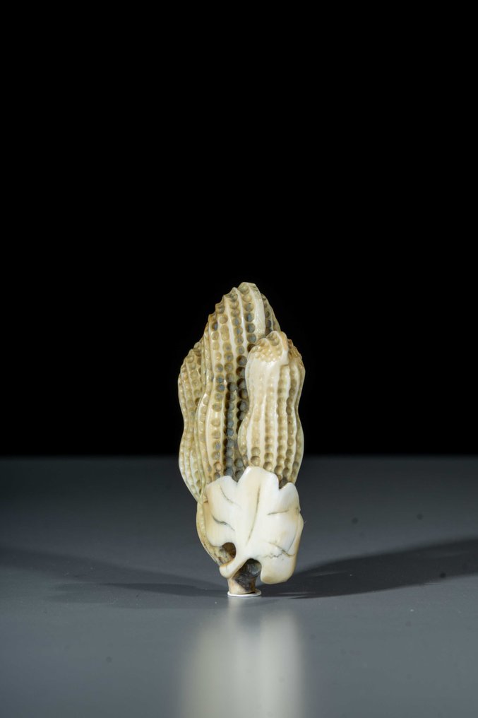 由三串花生组成的天然根付 - 象牙 - 日本 - 明治时期（19世纪后期） #1.0