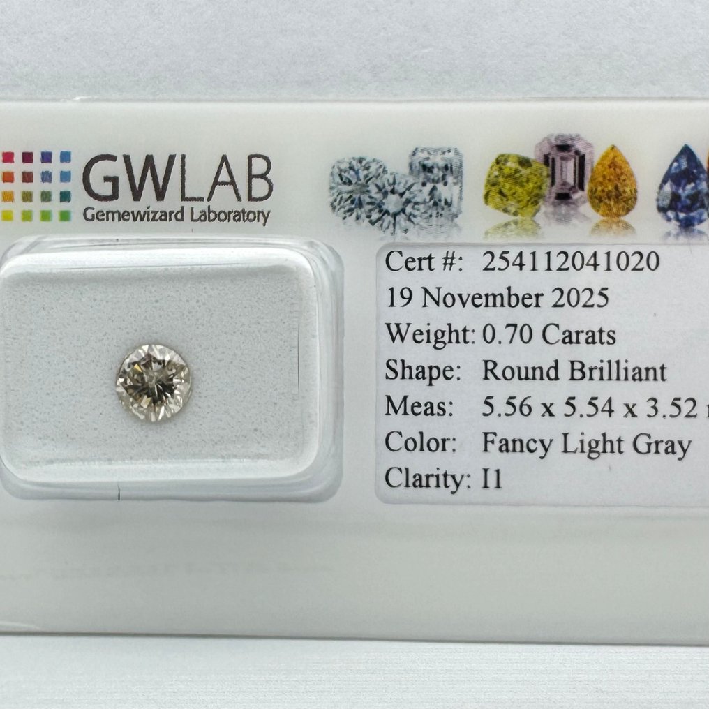没有保留价 - 1 pcs 钻石 (天然色彩的) - 0.70 ct - 圆形 - Fancy light 灰色 - I1 内含一级 - 国际宝石研究院(IGI) #1.0