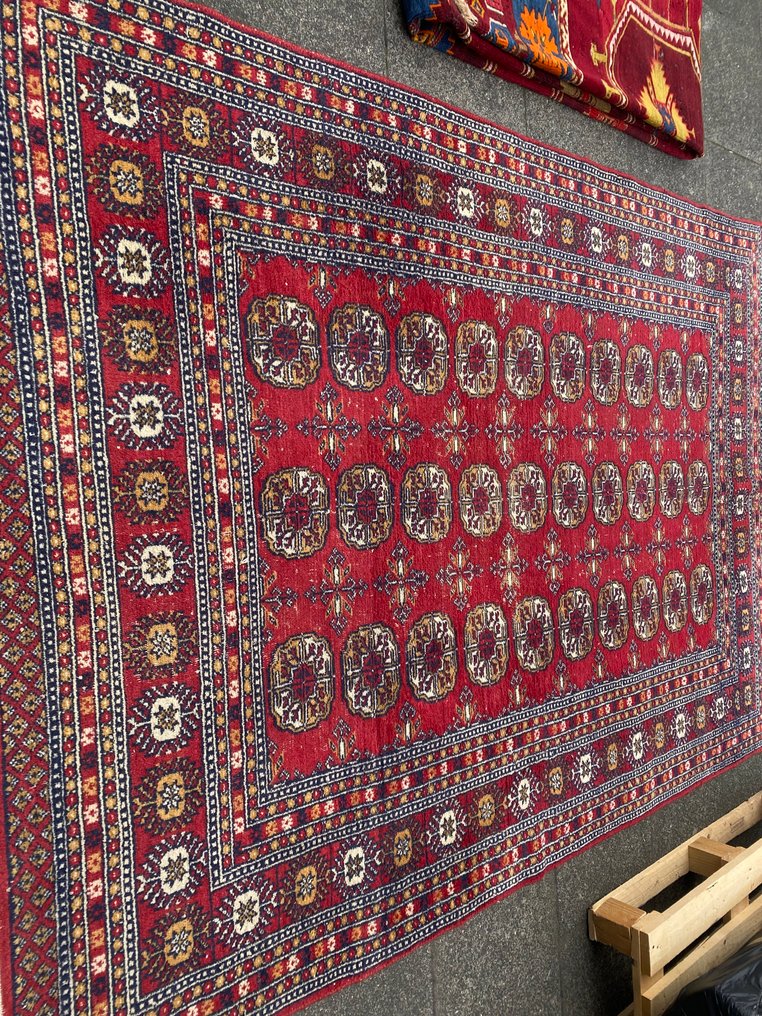 Afghan - Teppich - 235 cm - 165 cm #1.0