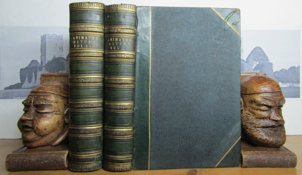 Oliver Goldsmith & Baron Cuvier - A History of the Earth and Animated Nature - 1870 #3.2