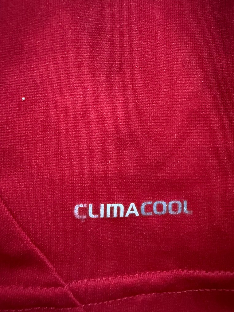 seleccion española de futbol - 歐洲冠軍聯賽 - cecs fabregas - 2010 - 足球衫 #4.3