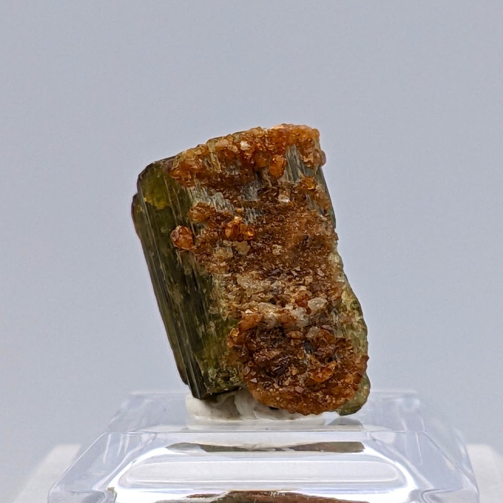 Γρανάτο GROSSULARIA σε VESUVIANITE, Κόκκινο-Πράσινο. Κρύσταλλοι στη μήτρα - Ύψος: 21 mm - Πλάτος: 17 mm- 8 g #4.3