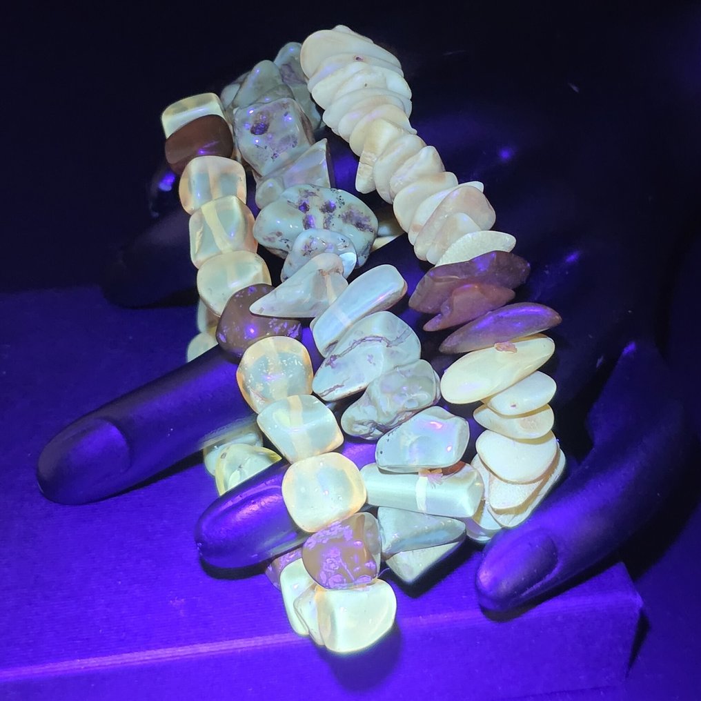 波罗的海琥珀手链套装——蜂蜜色、干邑色与奶油糖色混合——天然化石和谐 - 琥珀  (没有保留价) #3.2