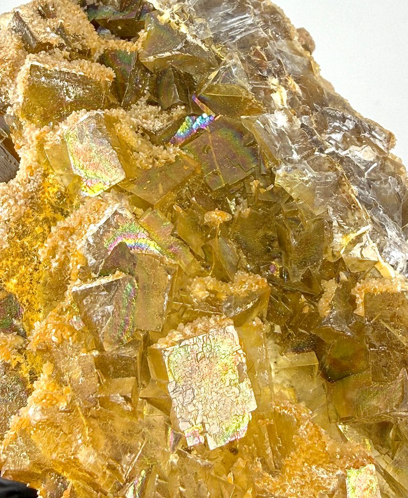 Rainbow Golden Fluorite Prøve - Højde: 86 mm - Bredde: 57 mm- 353 g #2.1