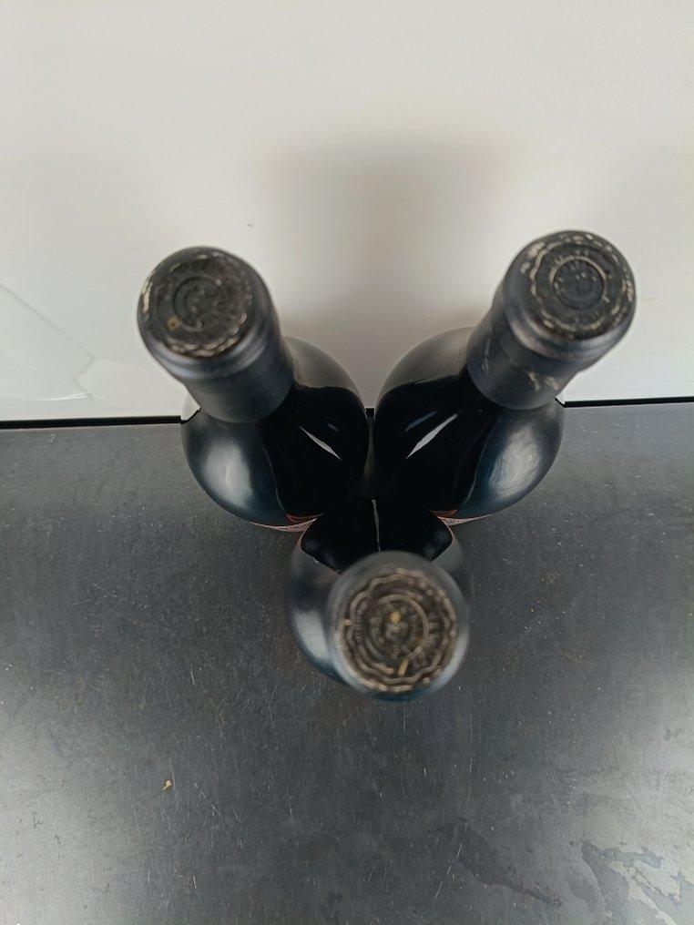 2000 Fontodi, Colli della Toscana Centrale Syrah Case Via - Toskana - 3 Flaschen (0,75 l) #4.3