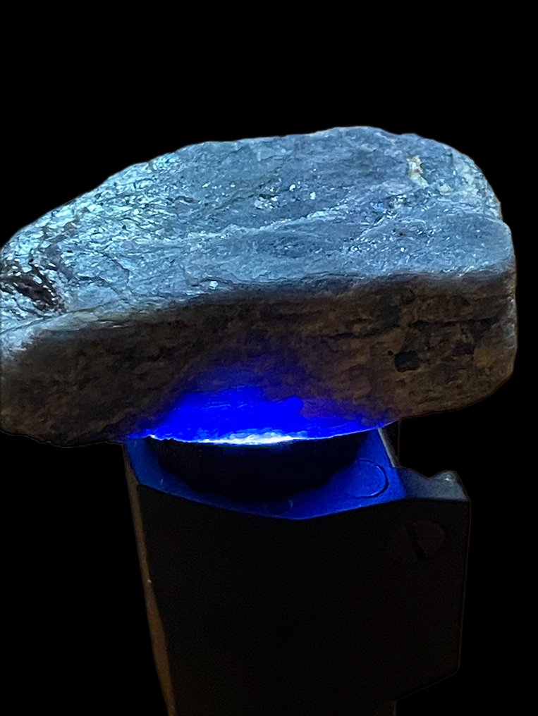 蓝宝石 粗糙。顶级皇家蓝。‘精彩之作’296.5克拉。 - 高度: 52 mm - 宽度: 34 mm- 59.3 g #1.0