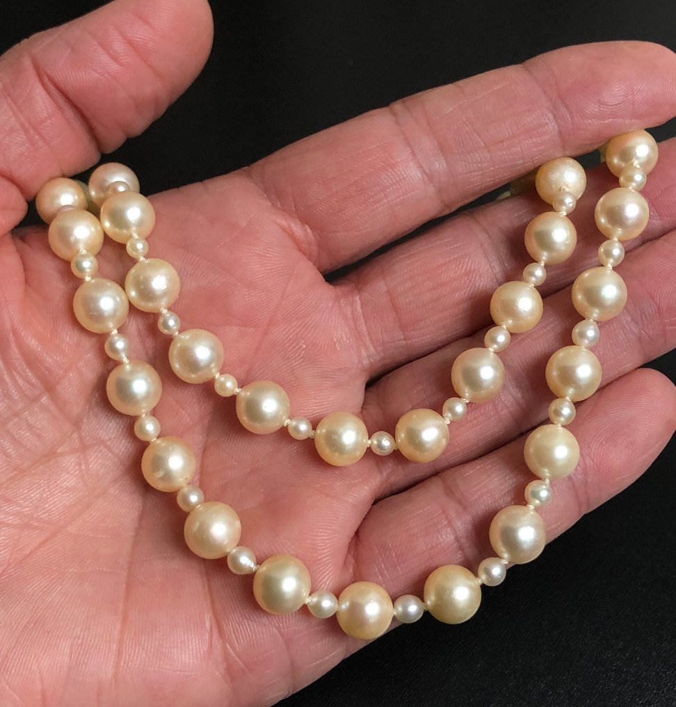 χωρίς τιμή ασφαλείας - Κολιέ - 18 καράτια Λευκός χρυσός, Κίτρινο χρυσό - 0.15ct. tw. Διαμάντι (Φυσικό) - Μαργαριτάρι - Αριθμός A974 - 95 εκ. #1.0