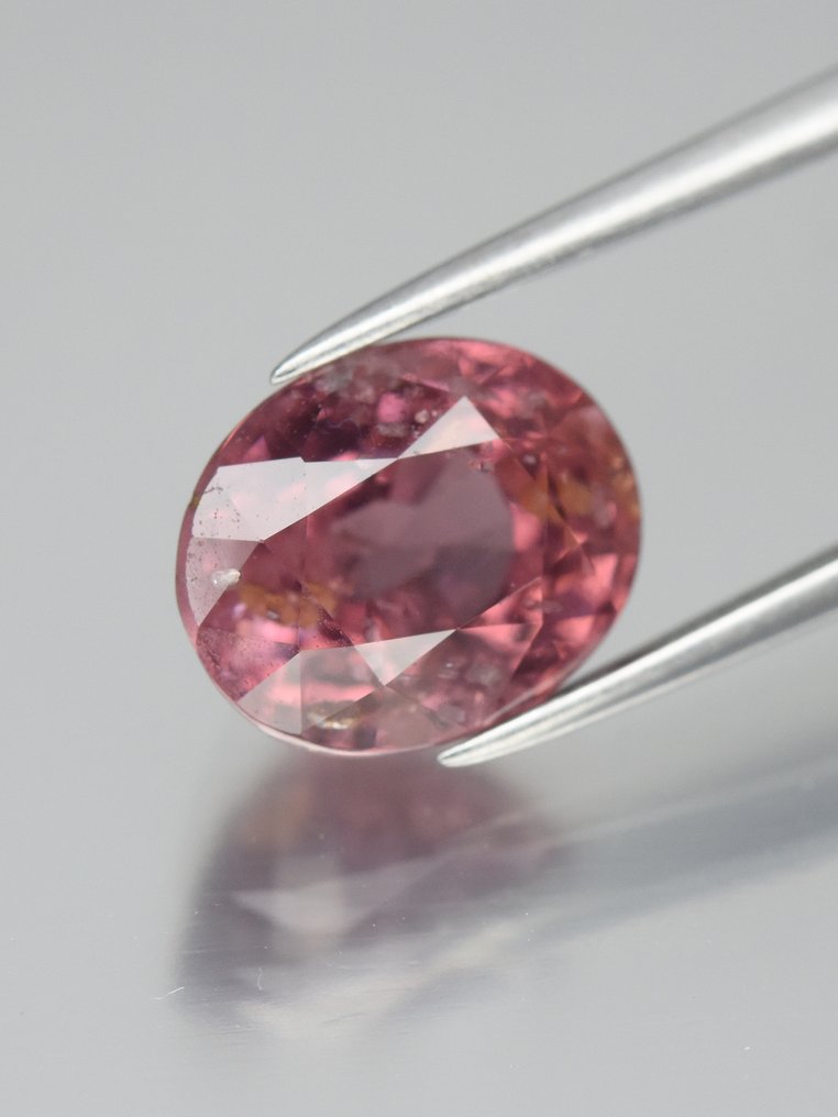 χωρίς τιμή ασφαλείας - 1 pcs Ροζ Σπινέλιος - 3.32 ct - Antwerp Laboratory for Gemstone Testing (ALGT) #1.0