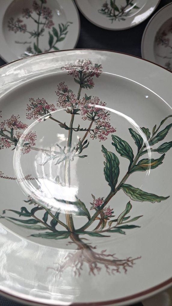 Villeroy & Boch - Dinner plate (7) - Botanica - Vitro-Porzellan - like new #4.3
