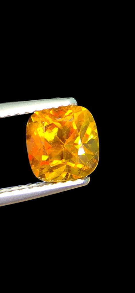 χωρίς τιμή ασφαλείας - 1 pcs Καφέ, Κίτρινο Τιτανίτης - 1.67 ct - International Gemological Institute (IGI) - Πυρρός Σφαινε #3.2