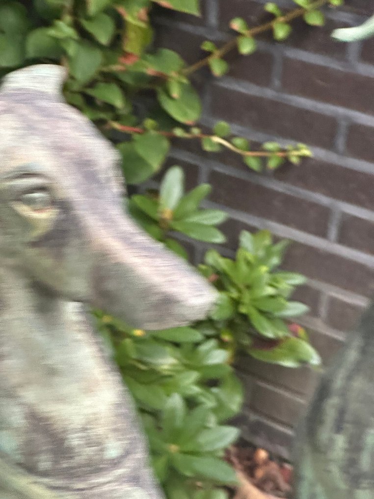 戶外雕塑, Grote Bronzen Whippets - 21e eeuw - 80 cm - 青銅色 #4.3